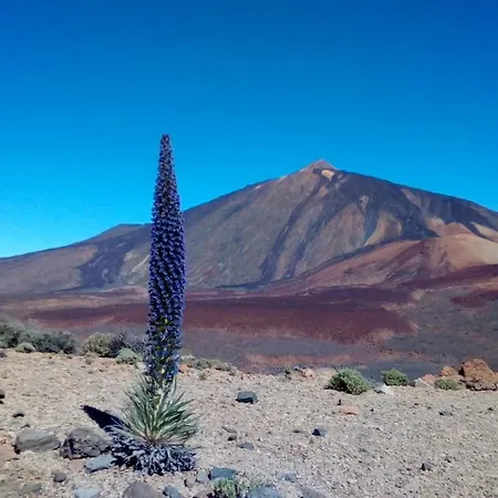 Over Open Sea Apartament *